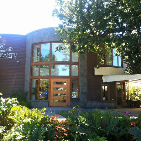 Cocurantu Hotel Boutique Pucon Exterior photo